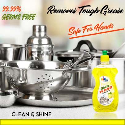 Requix Dish Wash Gel (500ml) Household Cleaners